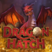 Dragon Hatch