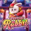 Fortune Rabbit
