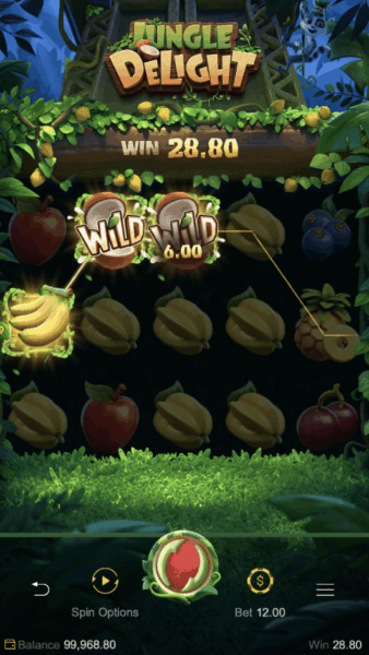 Wilds can complete winning combinations