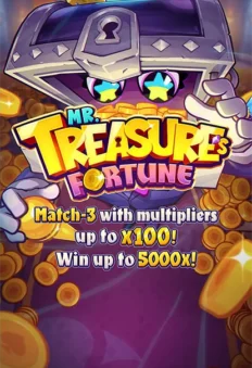 Mr. Treasure’s Fortune