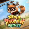 Ninja Raccoon Frenzy