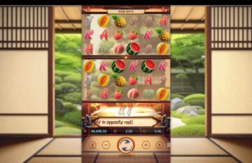 Ninja Raccoon Frenzy base game