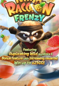 Ninja Raccoon Frenzy