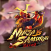 Ninja vs Samurai