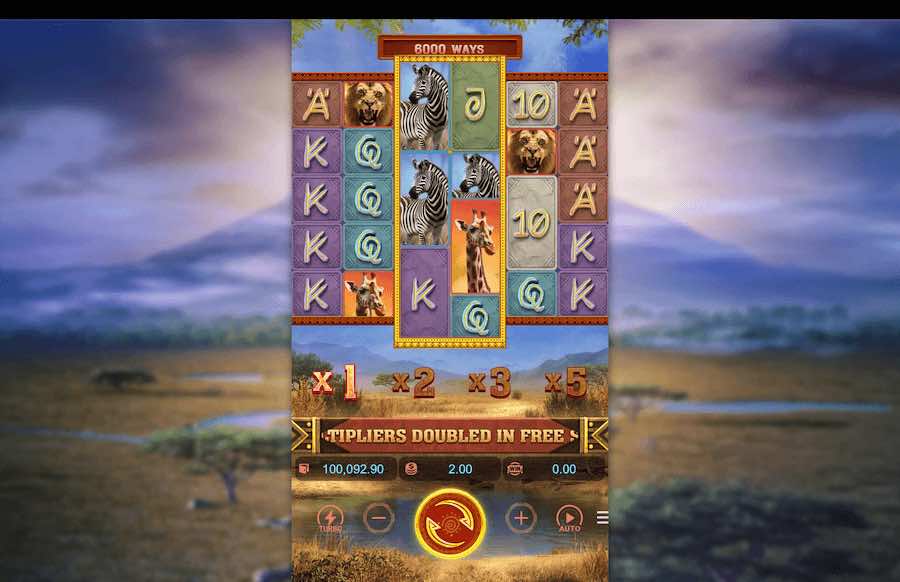 Safari Wilds base game