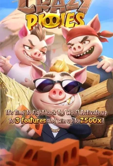 Three Crazy Piggies