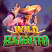 Wild Bandito